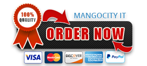 Mangocity IT