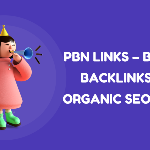 Buy PBN Backlink